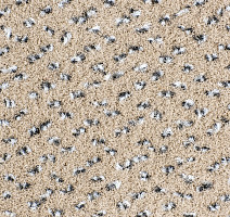 AW Magma 34 фото 3 | FLOORDEALER