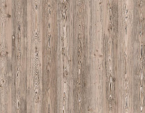 Ламинат My Step Arto 10мм Сосна Корнелис D50147 фото 1 | FLOORDEALER