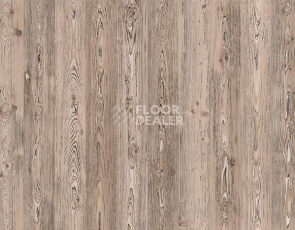 My Step Arto 10мм Сосна Корнелис D50147 фото 1 | FLOORDEALER