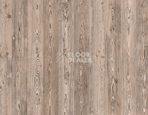 Ламинат My Step Arto 10мм Сосна Корнелис D50147 фото 1 | FLOORDEALER