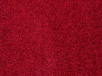 Balta ITC Preciosa 10 фото 1 | FLOORDEALER