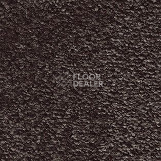 Ковролин AW Adoration 44 фото 1 | FLOORDEALER