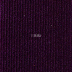 ФлорТ Экспо 02009 Фиолетовый фото 1 | FLOORDEALER