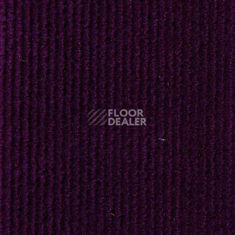 Ковролин Технолайн ФлорТ Экспо 02009 Фиолетовый фото 1 | FLOORDEALER