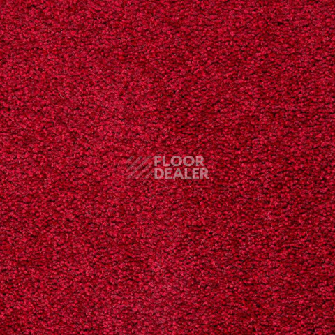 Ковролин Balta ITC Preciosa 10 фото 1 | FLOORDEALER