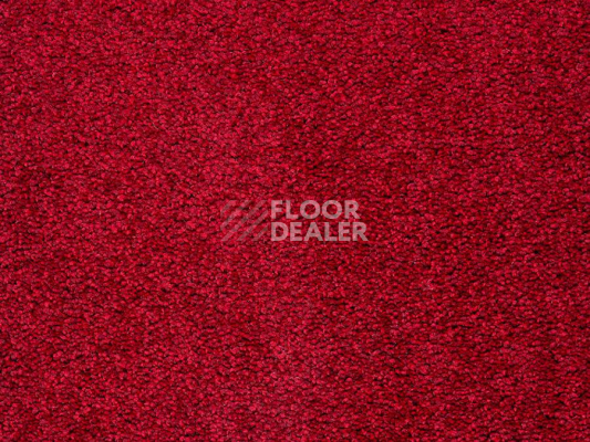 Ковролин Balta ITC Preciosa 10 фото 1 | FLOORDEALER