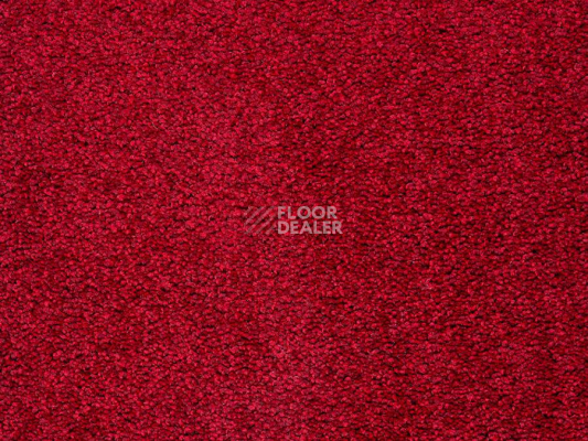 Ковролин Balta ITC Preciosa 10 фото 1 | FLOORDEALER