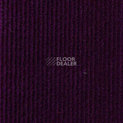 Ковролин Технолайн ФлорТ Экспо 02009 Фиолетовый фото 1 | FLOORDEALER