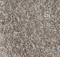 Ковролин AW Silence 49 фото 1 | FLOORDEALER