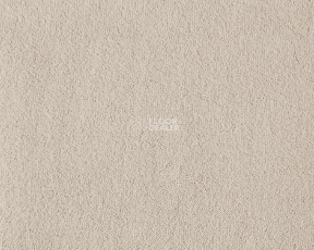 Lano Celeste 440 Ivory фото 1 | FLOORDEALER
