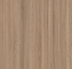 Линолеум Forbo Marmoleum Striato 5217 withered prairie фото 1 | FLOORDEALER