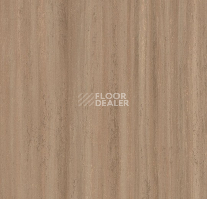 Линолеум Forbo Marmoleum Striato 5217 withered prairie фото 1 | FLOORDEALER
