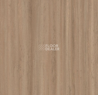 Линолеум Forbo Marmoleum Striato 5217 withered prairie фото 1 | FLOORDEALER