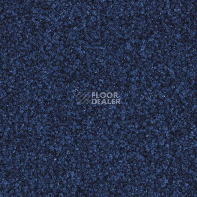 Ковровая плитка Balsan Bolero 195 фото 1 | FLOORDEALER