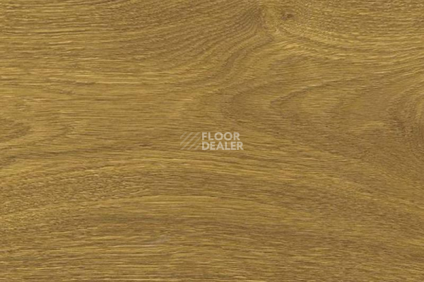 Пробковое покрытие Wood Xl замковое Oak Knotty фото 1 | FLOORDEALER