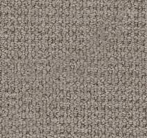 Ковролин Desso Conga 9935 фото 1 | FLOORDEALER