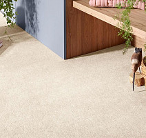 Vorwerk Superior 1072/Nutria Comfort Vorwerk 8h55 фото 2 | FLOORDEALER