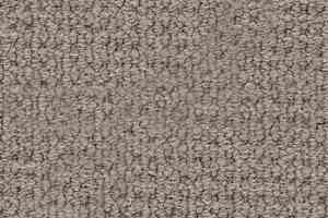 Ковролин Desso Conga 9935 фото  | FLOORDEALER