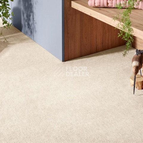 Vorwerk Superior 1072/Nutria Comfort Vorwerk 8h55 фото 2 | FLOORDEALER
