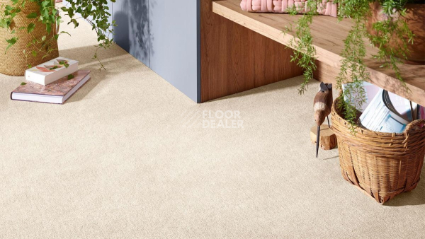 Vorwerk Superior 1072/Nutria Comfort Vorwerk 8h55 фото 2 | FLOORDEALER