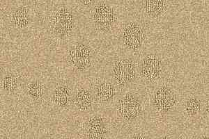 Ковролин Balsan Calanques 311 фото  | FLOORDEALER