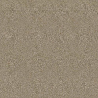 Ковролин Haima Lounge x 4453 фото 1 | FLOORDEALER