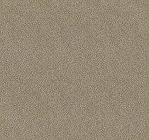 Ковролин Haima Lounge x 4453 фото 1 | FLOORDEALER