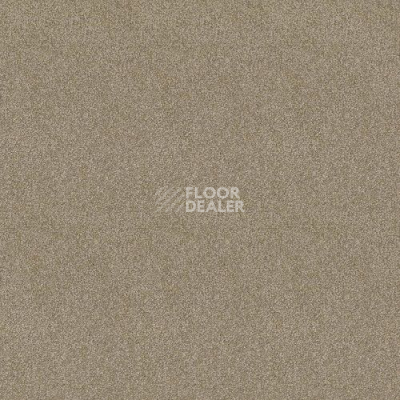 Ковролин Haima Lounge x 4453 фото 1 | FLOORDEALER