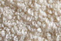 AW Masquerade Lamia 33 фото 5 | FLOORDEALER