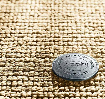 Ковролин Vorwerk Essential 1031 Vorwerk 2f27 фото 1 | FLOORDEALER