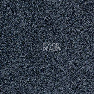 Ковролин AW Tendresse 78 фото 1 | FLOORDEALER