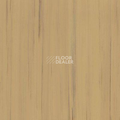 Линолеум Lino Fatra DUAL 861 фото 1 | FLOORDEALER