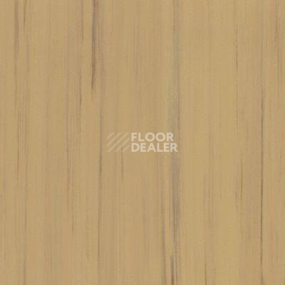 Линолеум Lino Fatra DUAL 861 фото 1 | FLOORDEALER