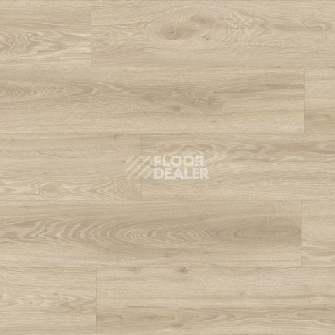 Moduleo Next Acoustic дерево VISTA OAK 330 BO фото 4 | FLOORDEALER