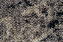 Balsan Charm 633 фото 3 | FLOORDEALER