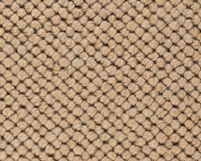 Best Wool Pure Venus 117 фото 1 | FLOORDEALER