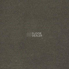Ковролин Lano Mambo 850 фото 1 | FLOORDEALER
