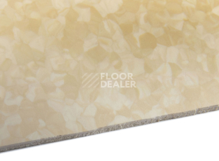 Tarkett iq Melodia 2645 фото 5 | FLOORDEALER