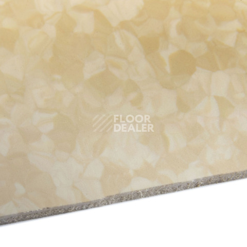 Tarkett iq Melodia 2645 фото 5 | FLOORDEALER