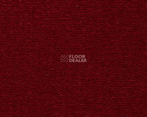 Ковролин Best Wool Pure Tasman 180 фото 1 | FLOORDEALER