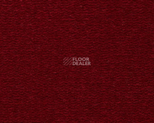 Ковролин Best Wool Pure Tasman 180 фото 1 | FLOORDEALER