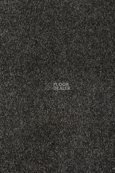 Ковролин AW Parana 99 фото 1 | FLOORDEALER