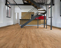 My Floor Chalet 10мм m1008 Каштан натуральный фото 2 | FLOORDEALER