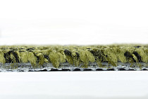 Balsan Take a Walk Rolls 250 фото 5 | FLOORDEALER