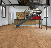 My Floor Chalet 10мм m1008 Каштан натуральный фото 2 | FLOORDEALER