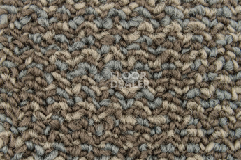 Neuflor Rocky 300305 фото 2 | FLOORDEALER