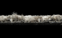 Balsan Carre Couture 600 Cesar фото 6 | FLOORDEALER