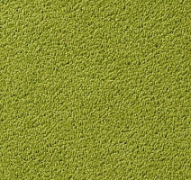 Ковролин Vorwerk Passion 1003 Vorwerk 4f82 фото 1 | FLOORDEALER