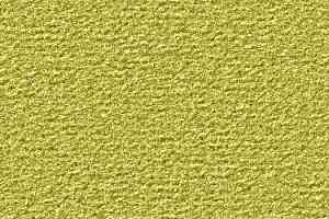 Ковролин Vorwerk Passion 1021 Vorwerk 4e12 фото  | FLOORDEALER