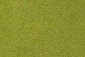 Ковролин Vorwerk Passion 1003 Vorwerk 4f82 фото  | FLOORDEALER